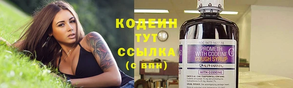 дурь Бронницы