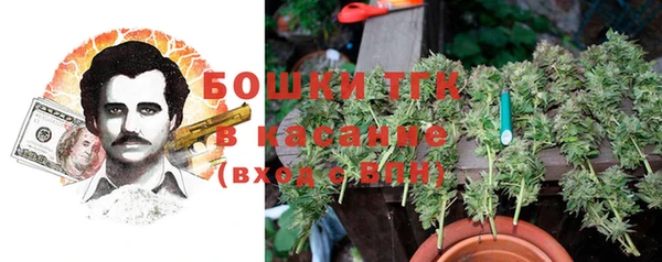 дурь Бронницы