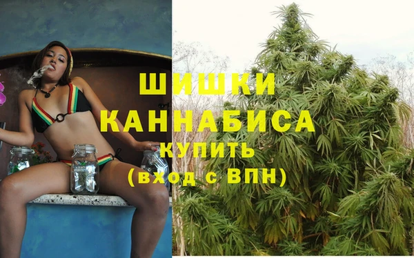 дурь Бронницы