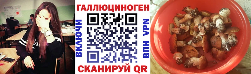 Галлюциногенные грибы Magic Shrooms  Томск 